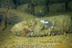 14" shells-Yamagiri Maru-Chuuk-Canon 5D 17-40mm by Richard Goluch 